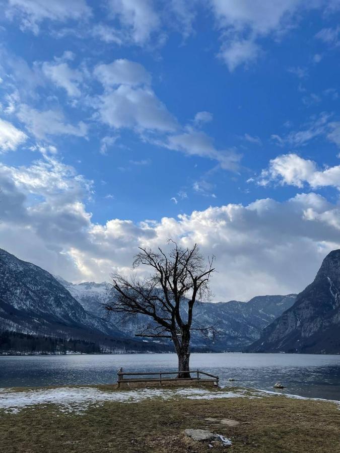 Remarkable Home Bohinj Lake 외부 사진